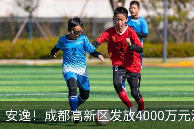安逸！成都高新区发放4000万元汽车消费补贴，单车最高10000元